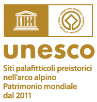 UNESCO IT